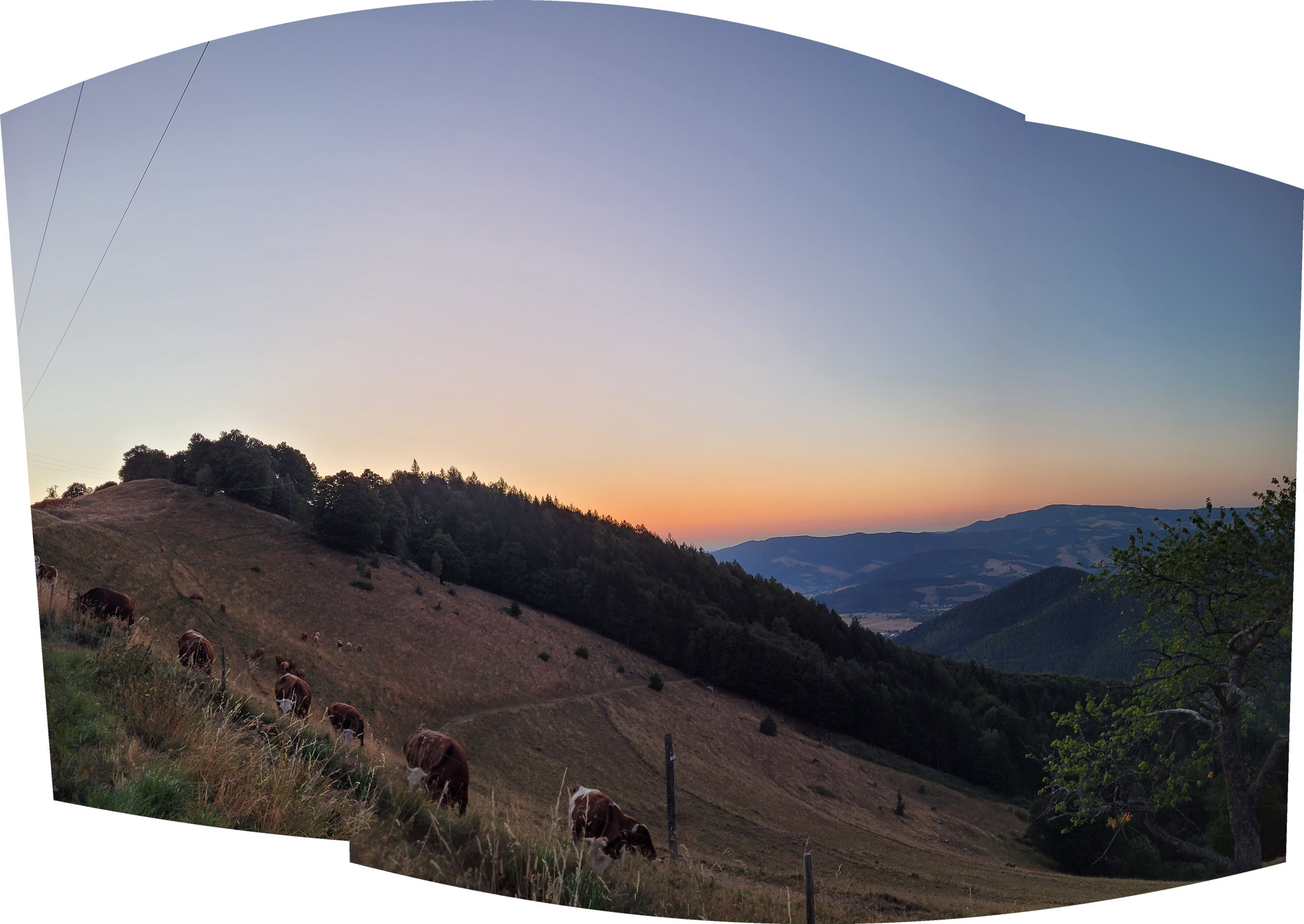 20220813205904 20220813 205904 Pano